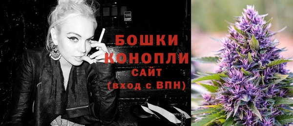 винт Бронницы